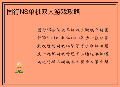 国行NS单机双人游戏攻略